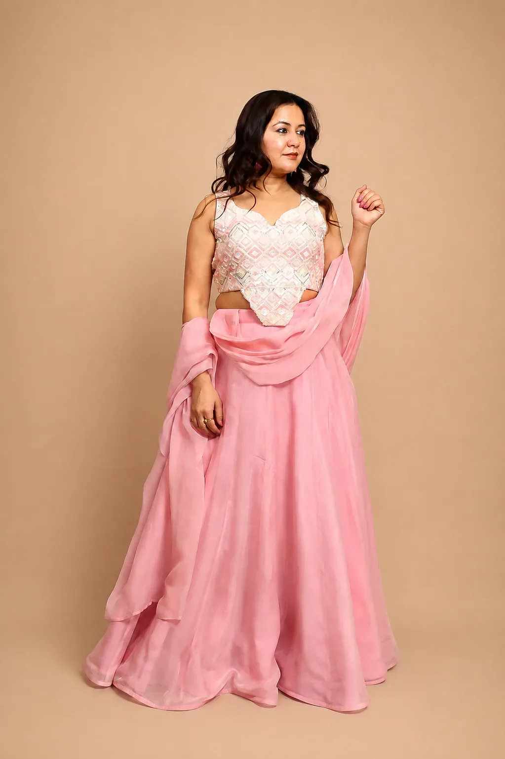 Rose Elegance Embroidered Dress