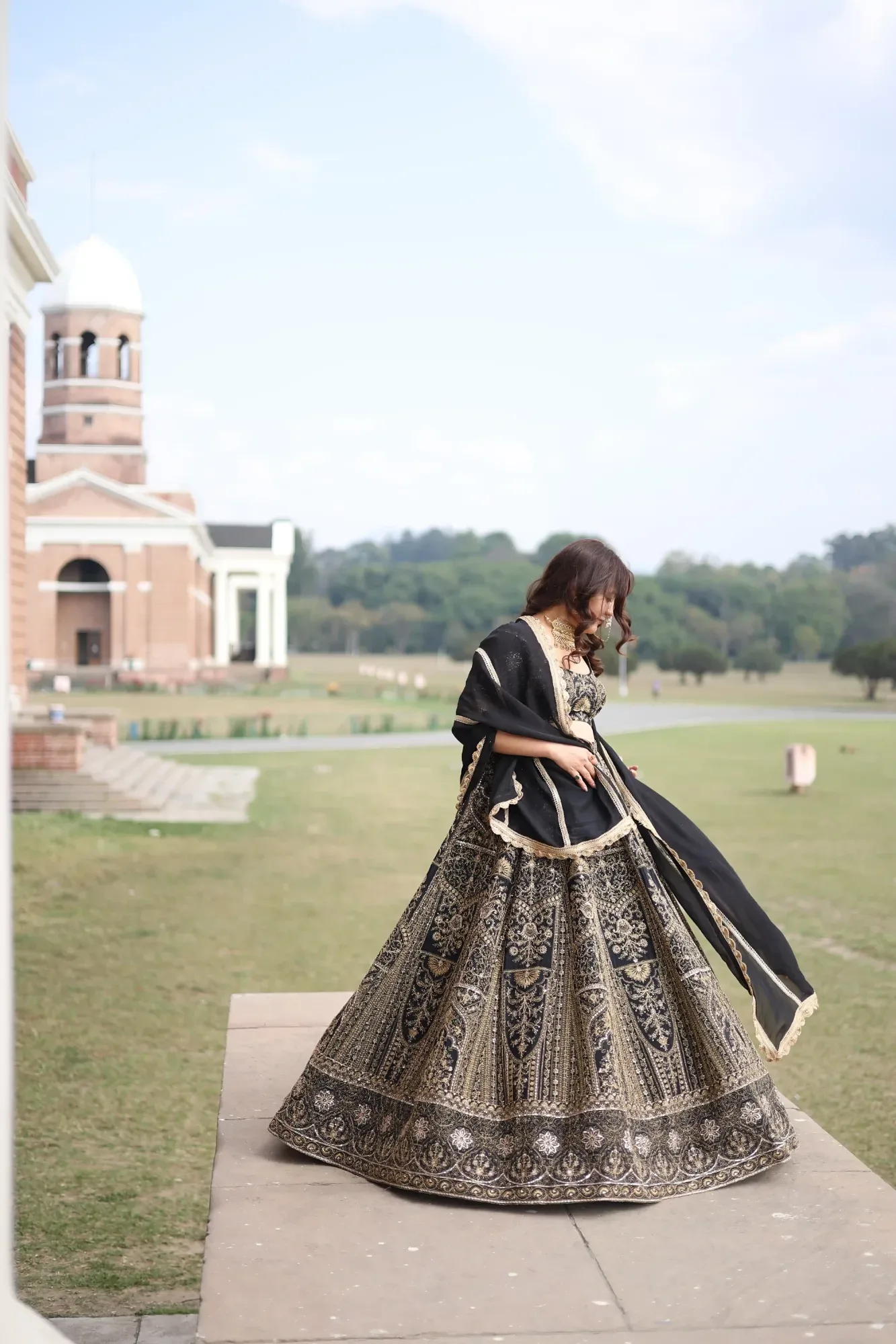 Royal Zari Back Lehenga Set — view 4