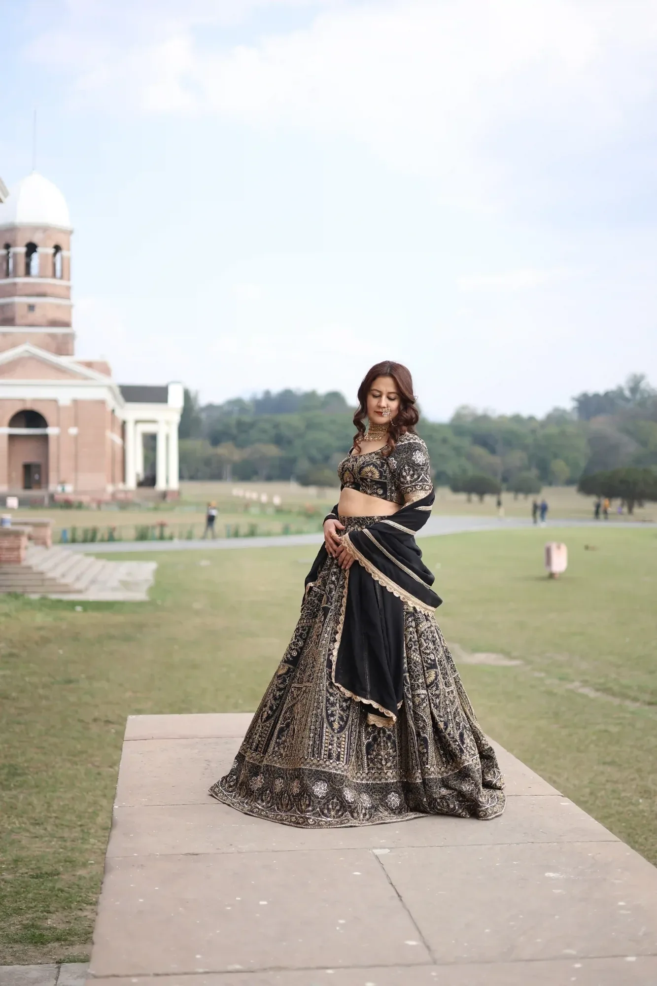 Royal Zari Back Lehenga Set — view 6